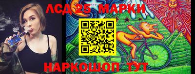 СК Бийск