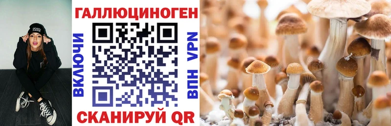 Псилоцибиновые грибы MAGIC MUSHROOMS  mega ссылки  Борзя 