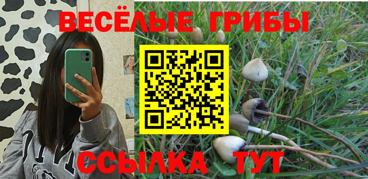Галлюциногенные грибы мицелий Борзя