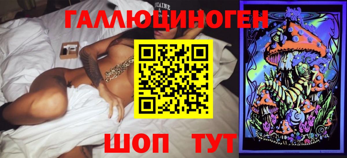 Псилоцибиновые грибы Psilocybe Борзя